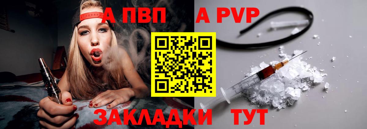 A PVP СК КРИС Сыктывкар