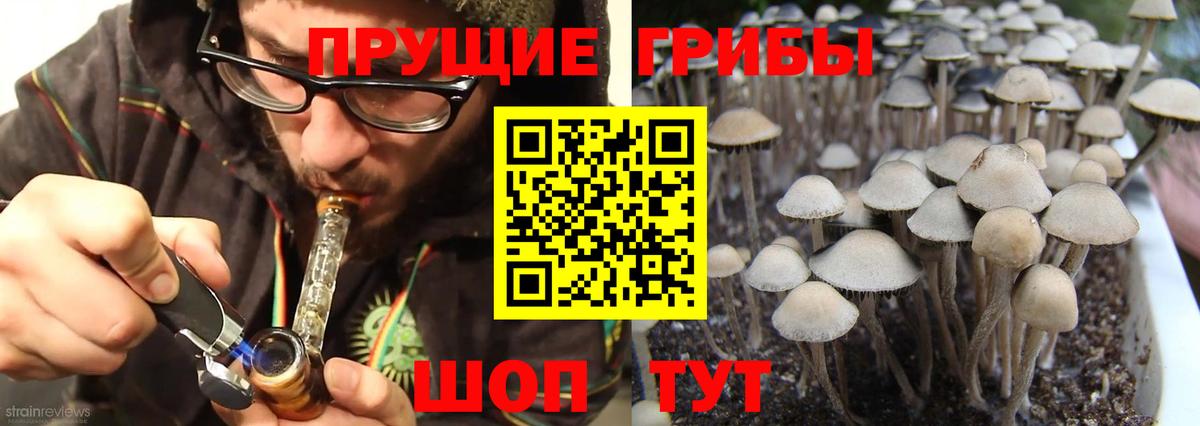 Псилоцибиновые грибы Psilocybe  Вход с VPN  Галлюциногенные грибы Magic Shrooms  Сыктывкар 